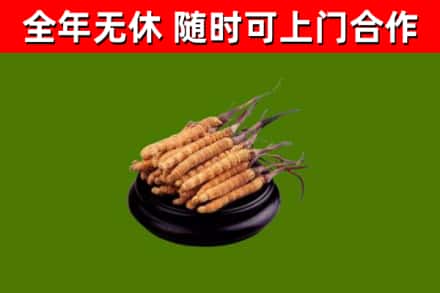 武陵烟酒回收冬虫夏草.jpg